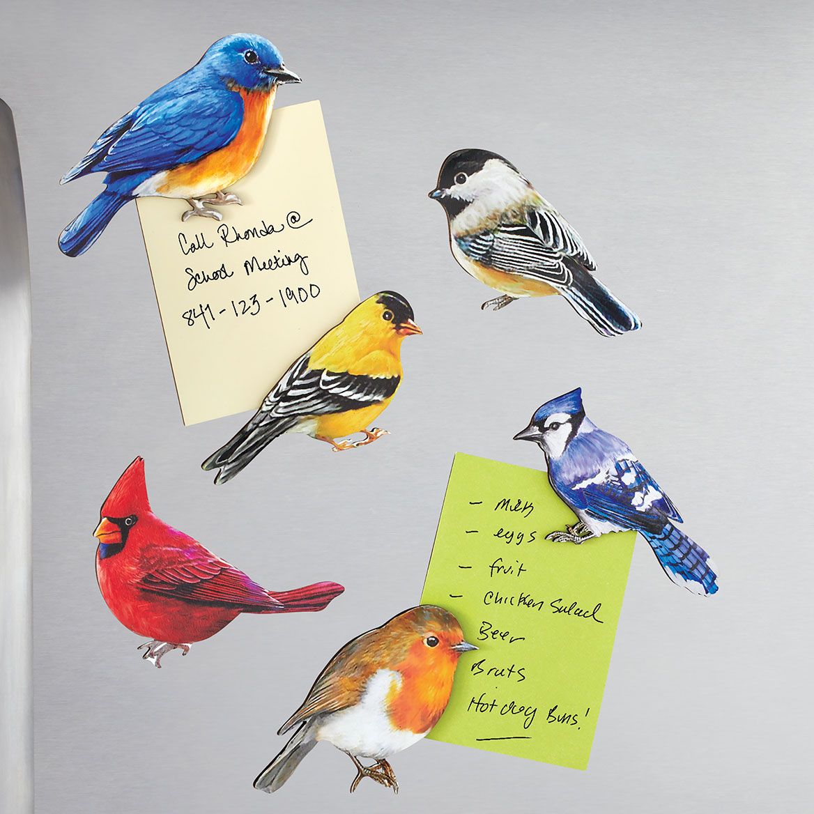 Bird Magnets, Set of 6 + '-' + 380634