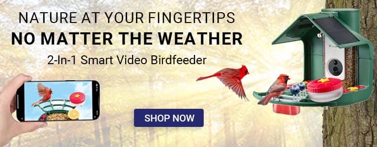 Product Spotlight