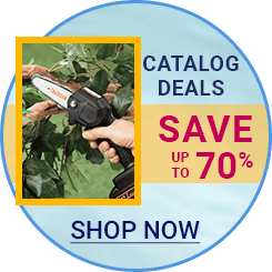 catalogdealsdiscover