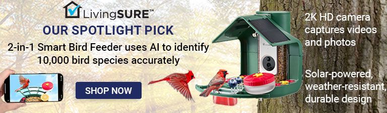 Shop Product Spotlight