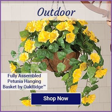 Shop Outdoor