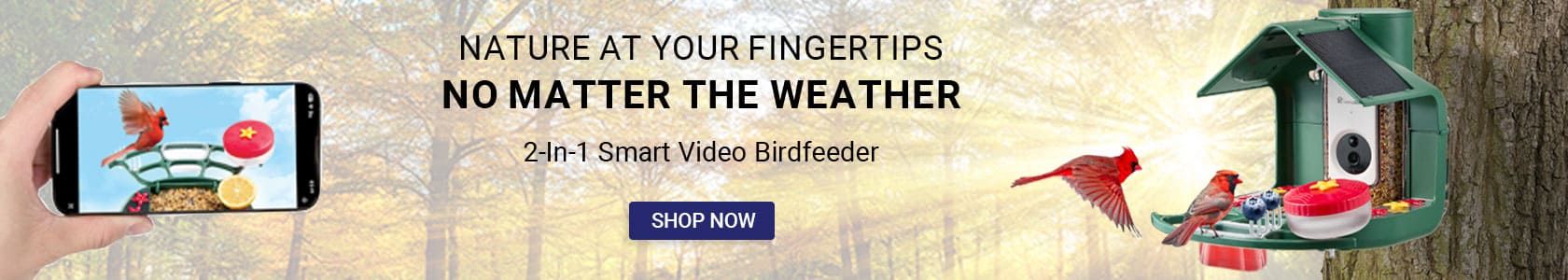 Product Spotlight