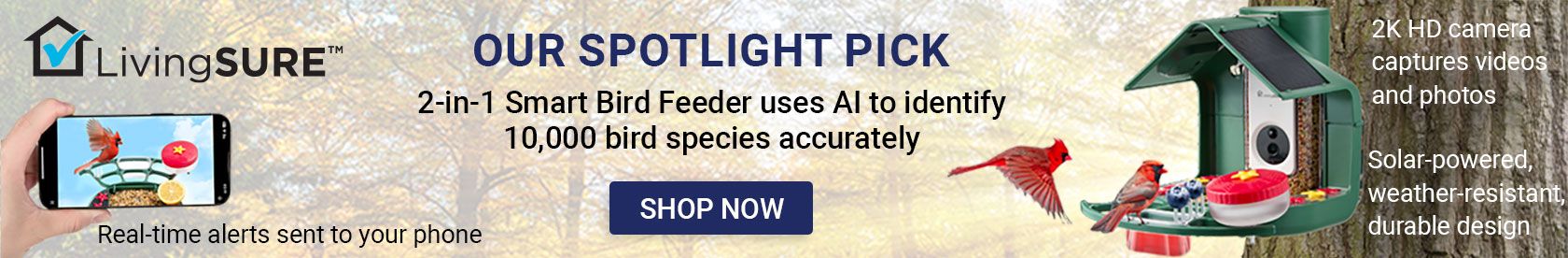 Shop Product Spotlight