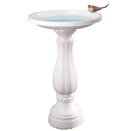 Bird Bath-338269