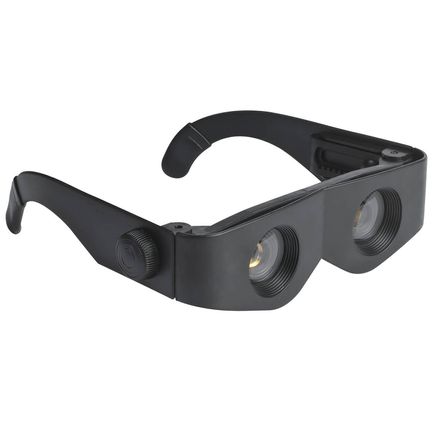 Bionic Glasses-348200