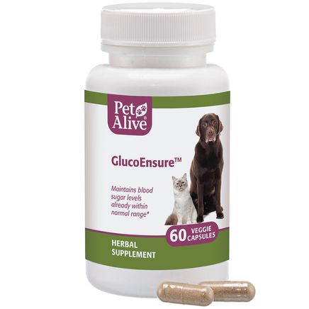 PetAlive® GlucoEnsure™-351899