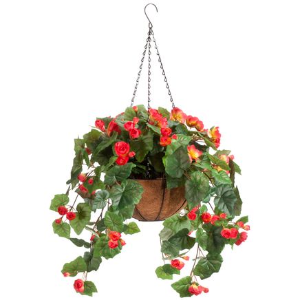 Fully Assembled Begonia Hanging Basket by OakRidge™-355016