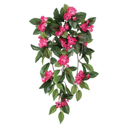 Impatiens Hanging Stem by OakRidge™-355285