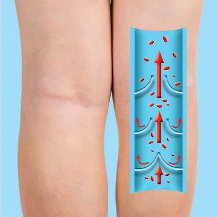 Therapeutic Circulation Stockings-369909