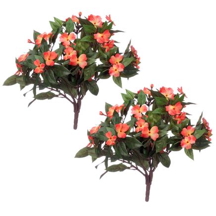 Impatiens Bush Orange by OakRidge™, Set of 2-373626