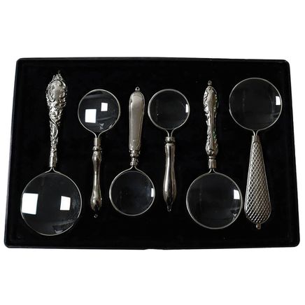 View product details for Magnifiers with Case, Set of 6