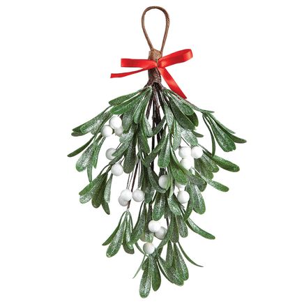 Hanging Mistletoe-378111