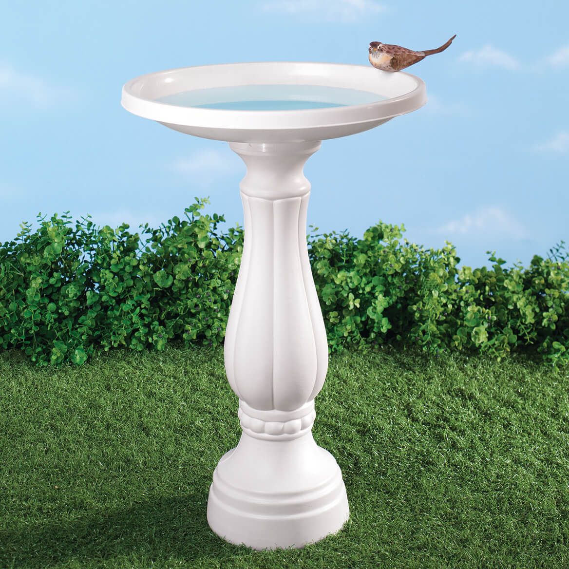 Bird Bath + '-' + 338269