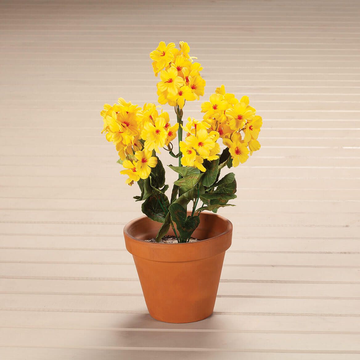 Geranium Bush by OakRidge™ + '-' + 338896