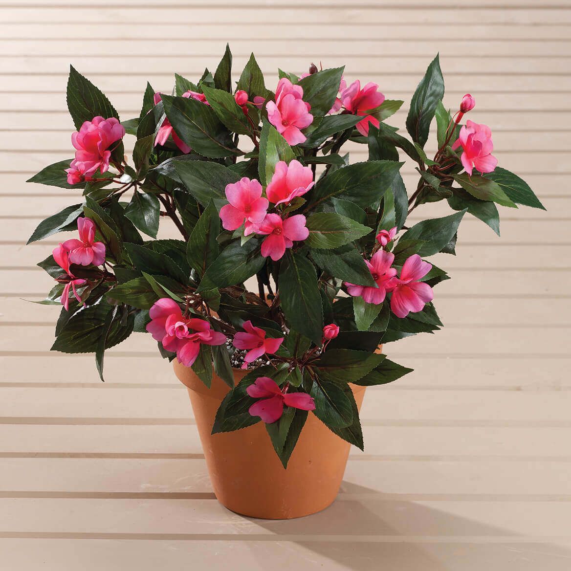Impatiens Bush by OakRidge™ + '-' + 341104