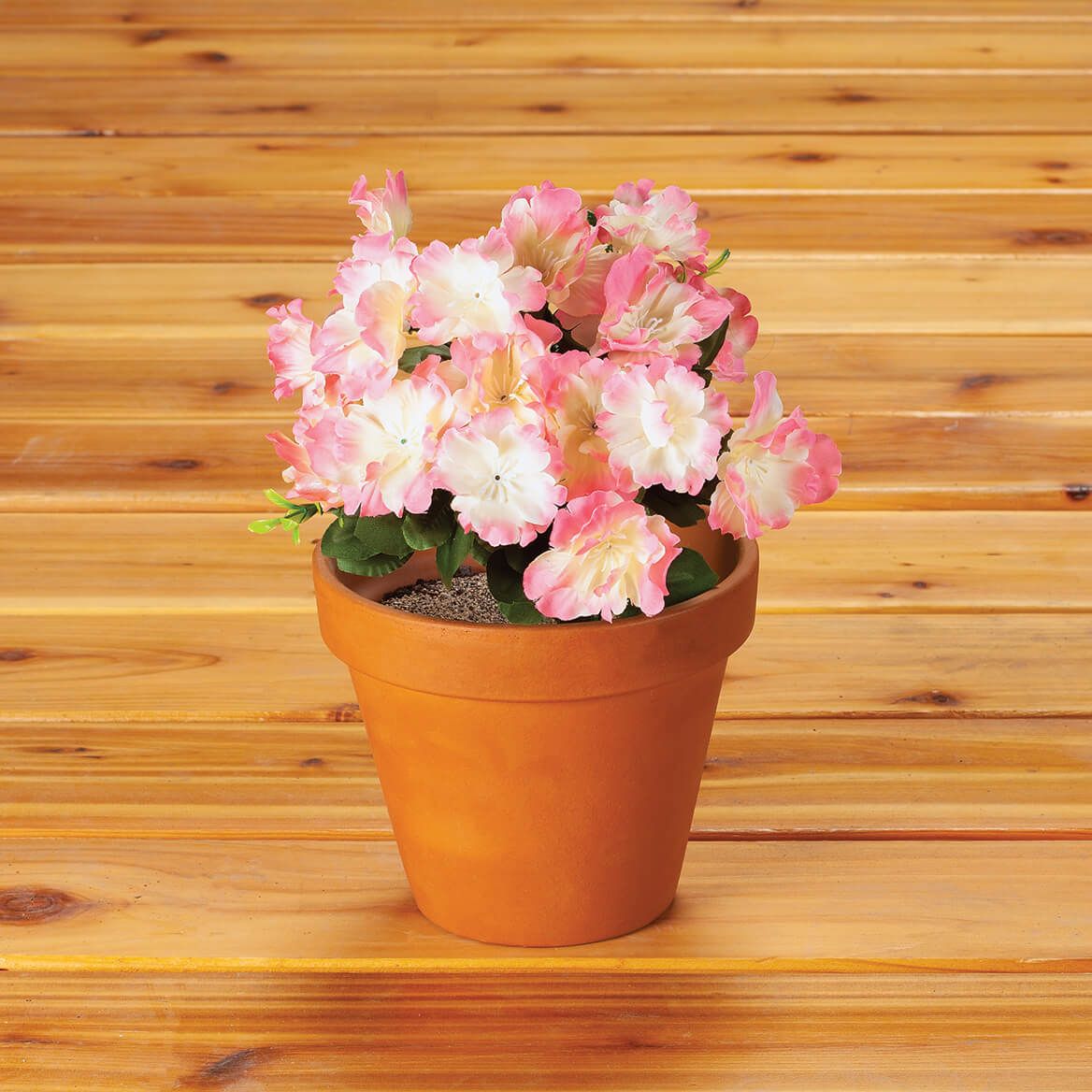 Azalea Bush by OakRidge™ + '-' + 341368