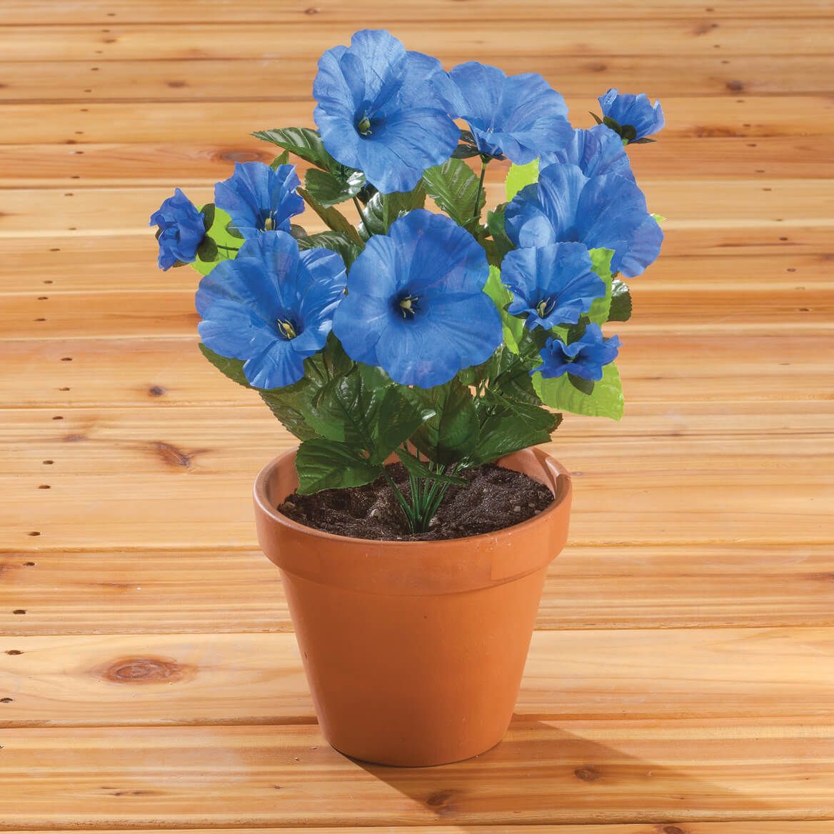 Petunia Bush by OakRidge™ + '-' + 341461