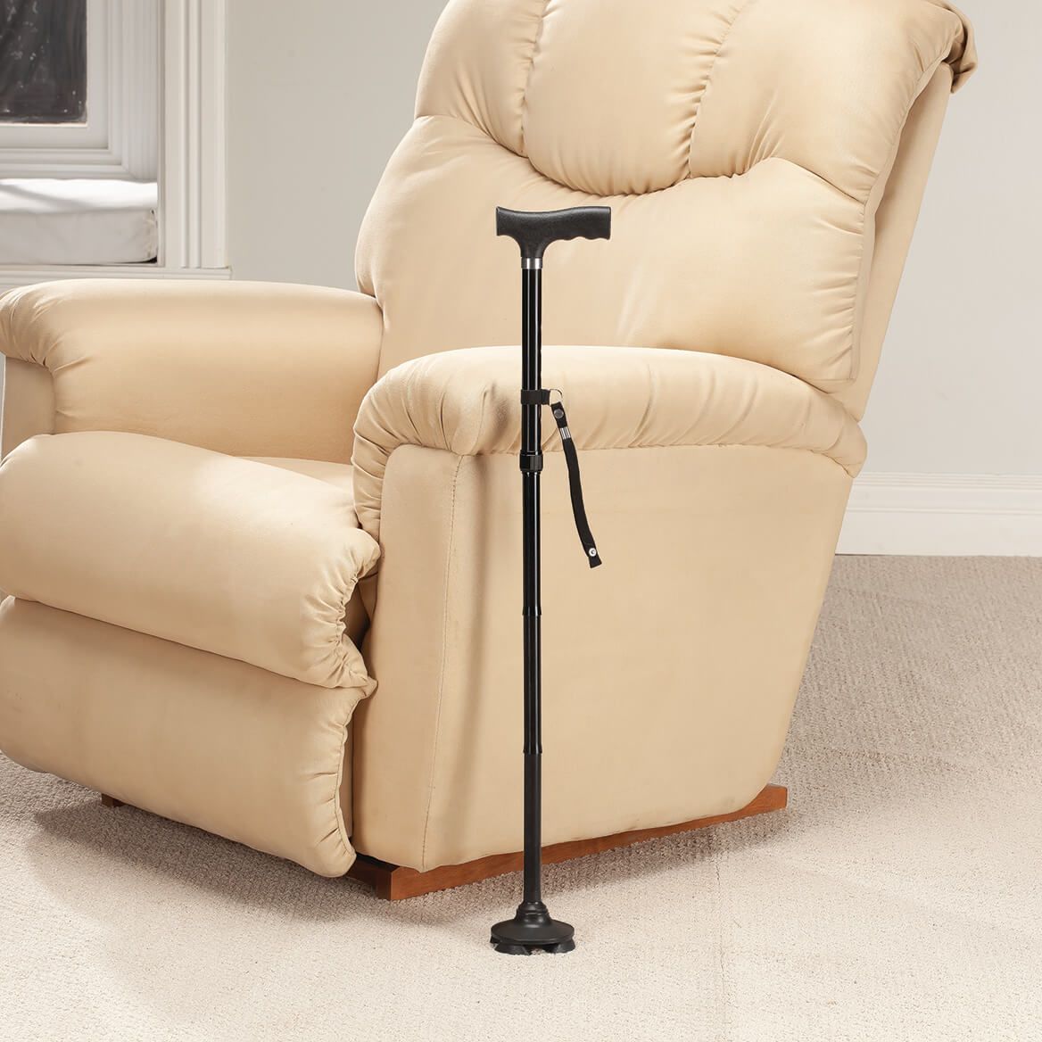 Folding Multi-Angle Cane + '-' + 353933