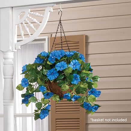 Petunia Hanging Stem by OakRidge™-355283