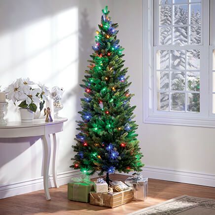 6' Pre-Lit Frasier-Like Tree by Holiday Peak™     XL-356284