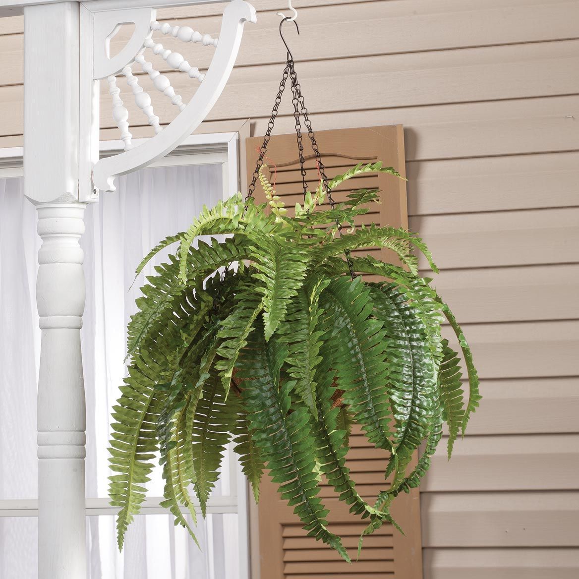 Fully Assembled Fern Hanging Basket by OakRidge™ + '-' + 359080