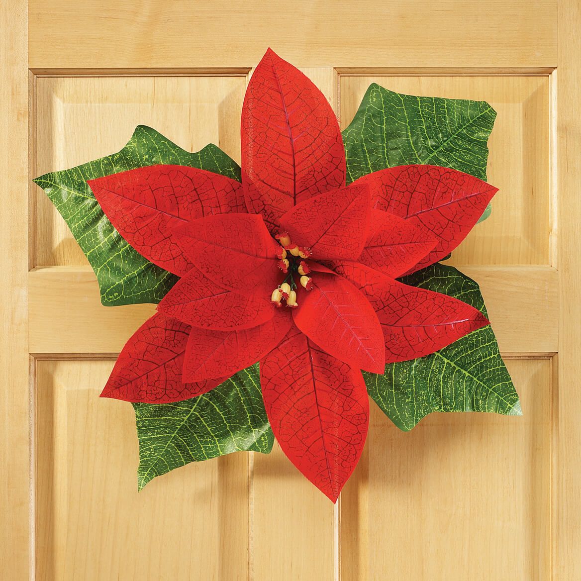 Giant Poinsettia + '-' + 360034
