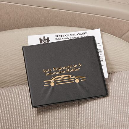 Auto Registration & Insurance Holder-360316