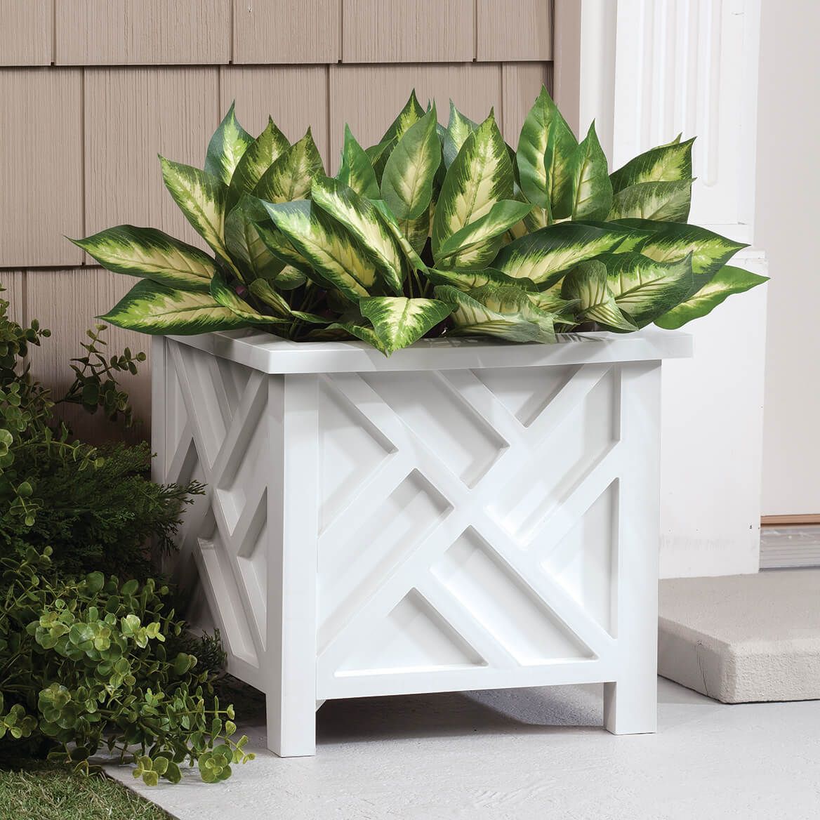 Hosta Bushes, Set of 3 by OakRidge™ + '-' + 362046