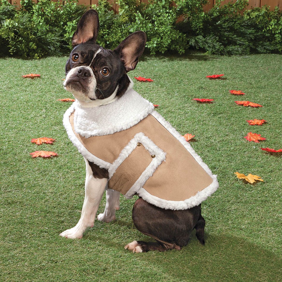 Sherpa Dog Coat + '-' + 363597
