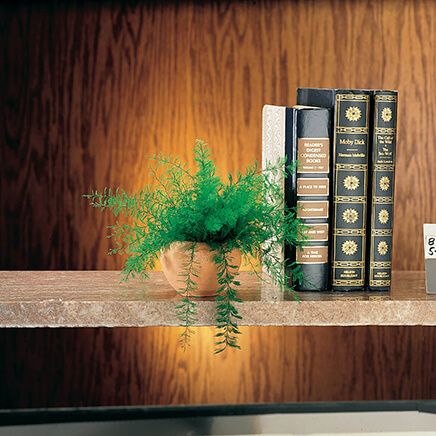 Mysterious Air Fern, Set of 2-363871