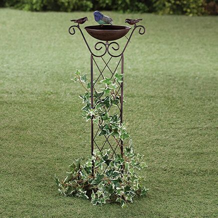 Bird Bath with Trellis-366290