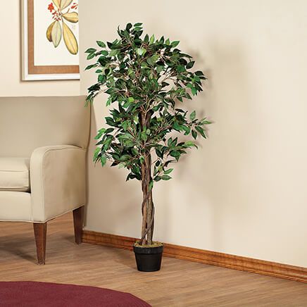 Artificial Ficus Tree by OakRidge™-368768