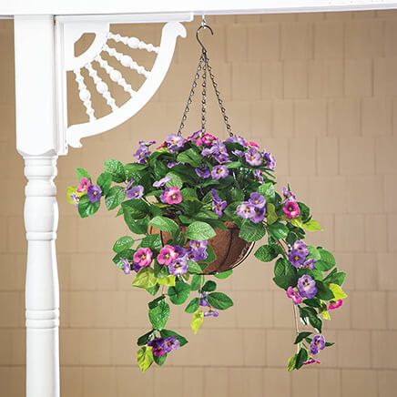 Fully Assembled Pansy Hanging Basket by OakRidge™-368881
