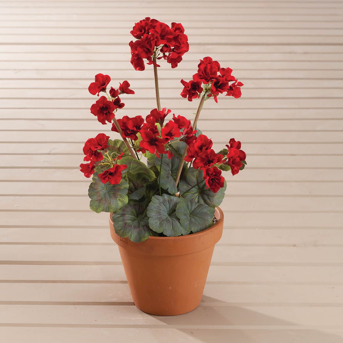 Red Geranium Bush by OakRidge™, Set of 3 + '-' + 370387
