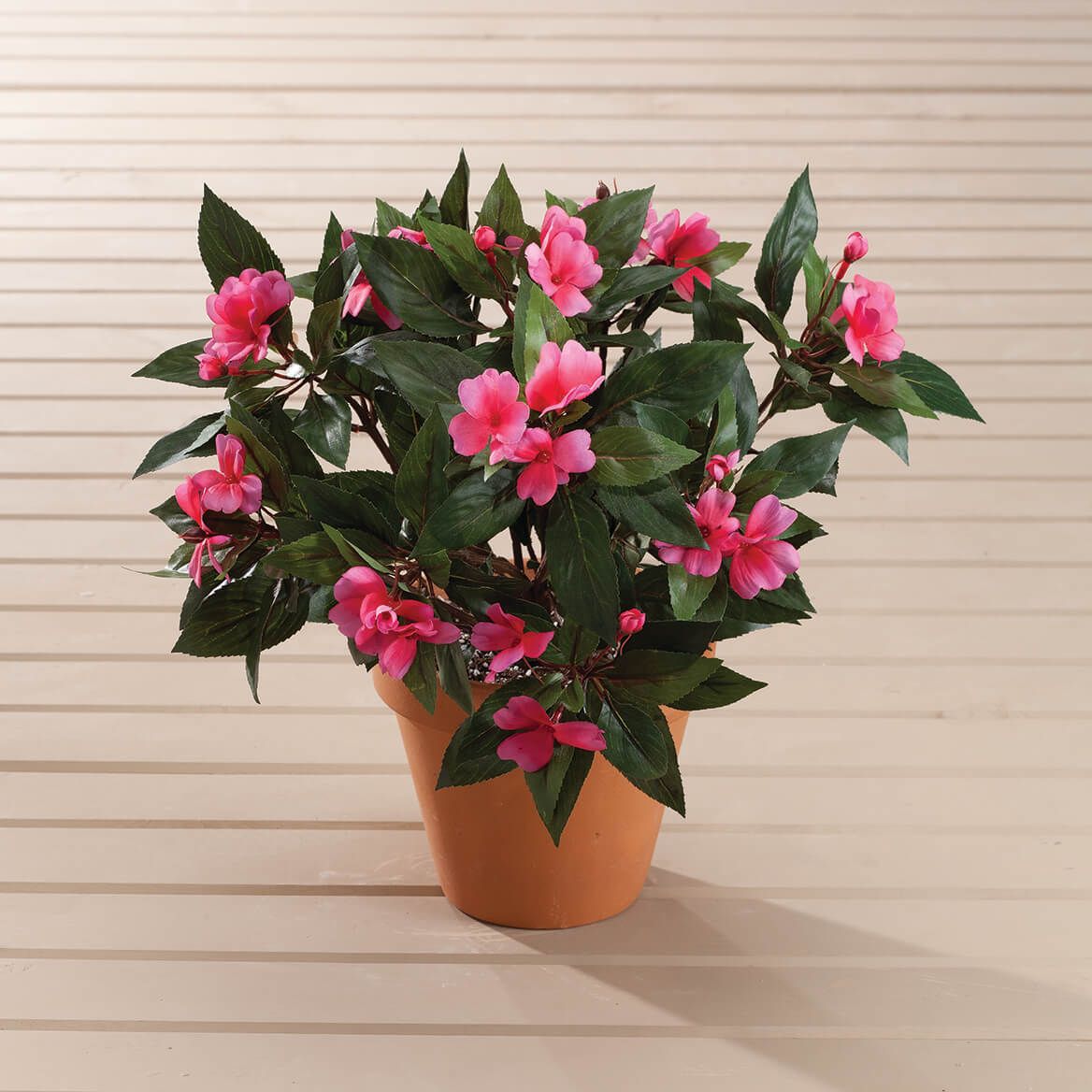 Dark Pink Impatiens Bush by OakRidge™, Set of 3 + '-' + 370391