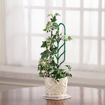 Mini Garden Trellis, Set of 3-371317
