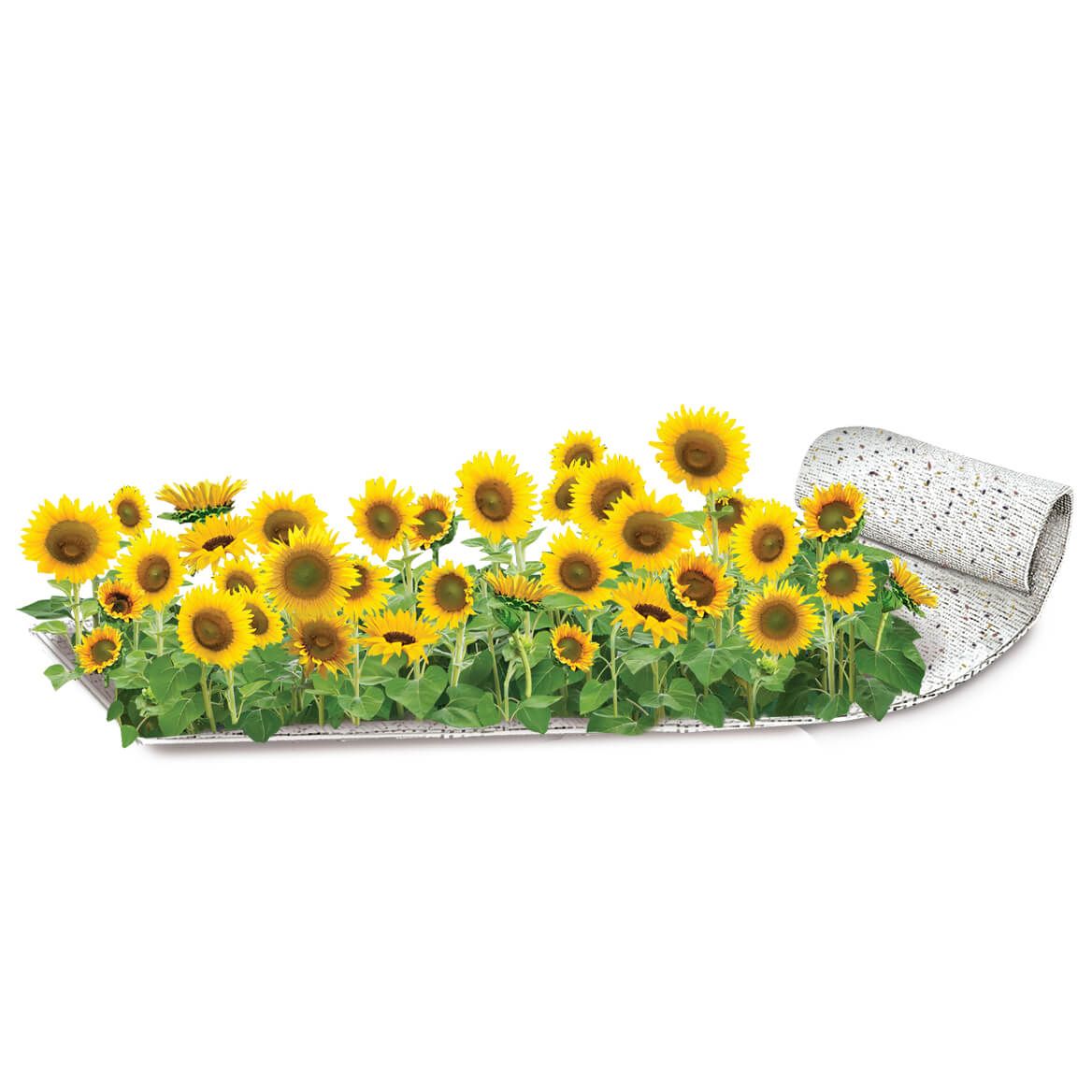 Dwarf Sunflower Flower Roll Out Seed Mat + '-' + 371490