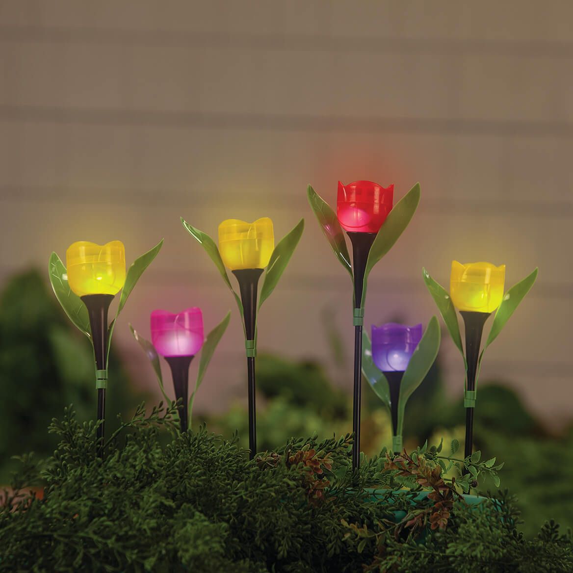Solar Tulip Stakes, Set of 6 + '-' + 372642
