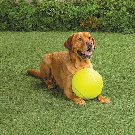 Giant Dog Tennis Ball-373020