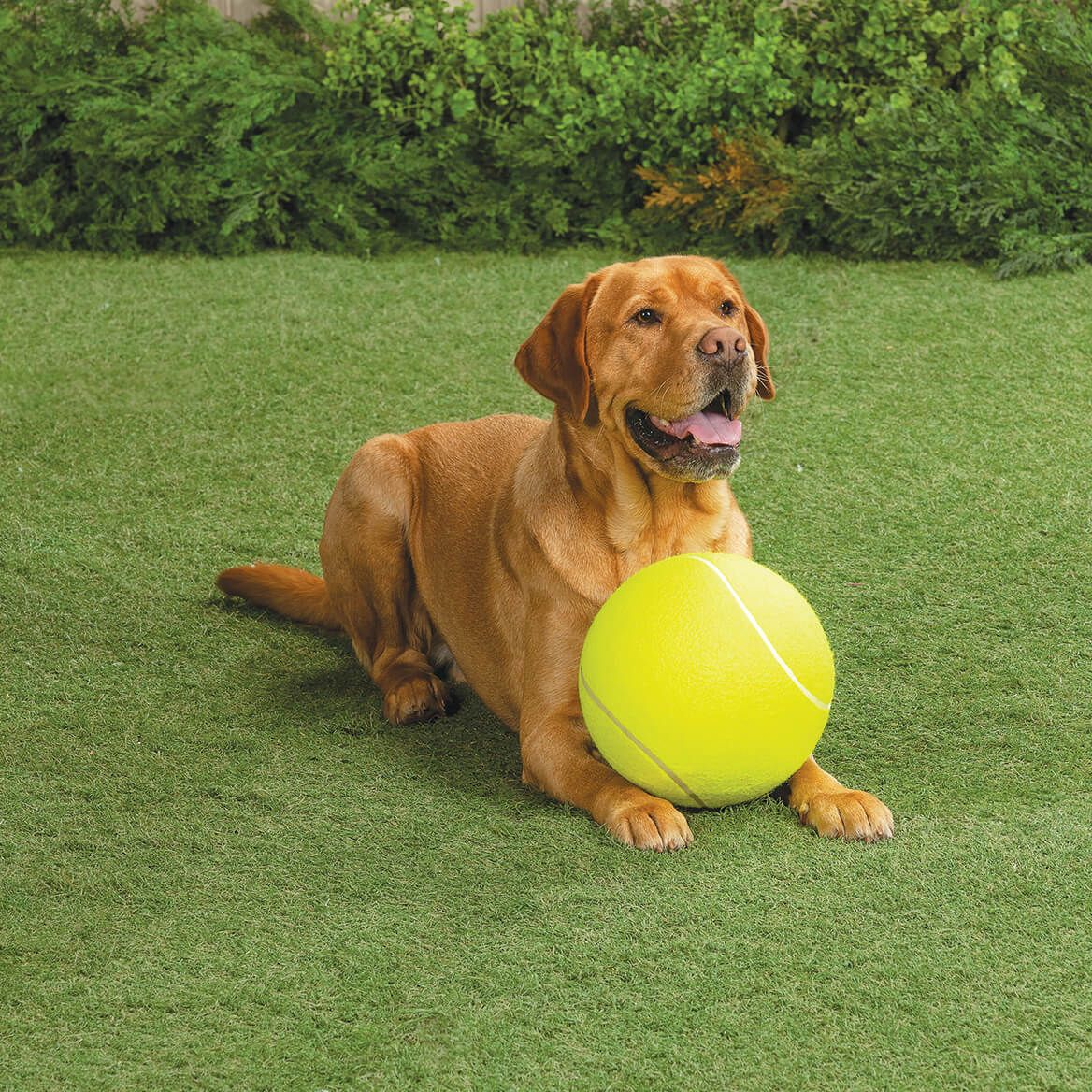 Giant Dog Tennis Ball + '-' + 373020