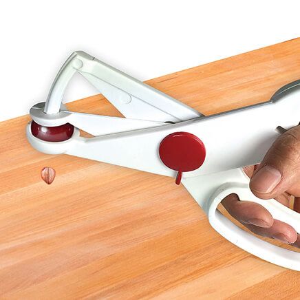 Cherry/Olive Pitter Tool-375169