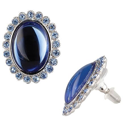 Blue Stone Pierced Earrings-377832