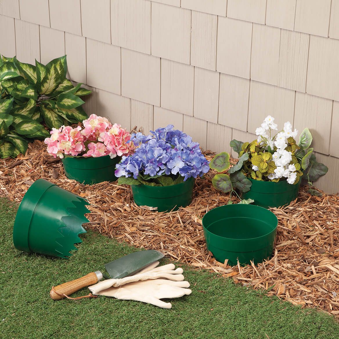 Protective Plant Rings, Set of 5 + '-' + 378188