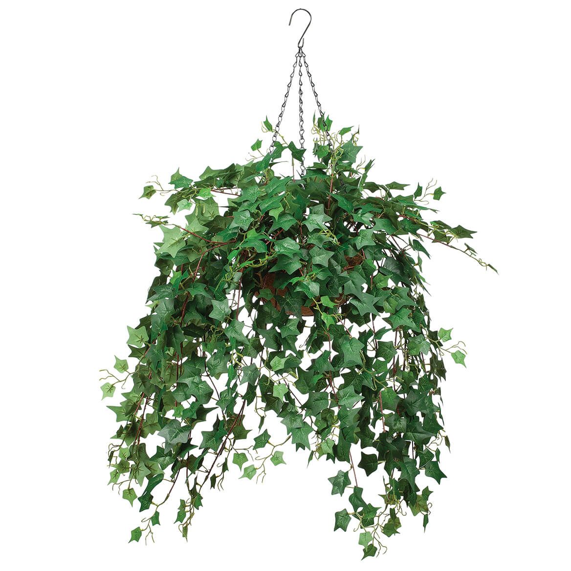 Fully Assembled Ivy Hanging Basket by OakRidge™ + '-' + 378766