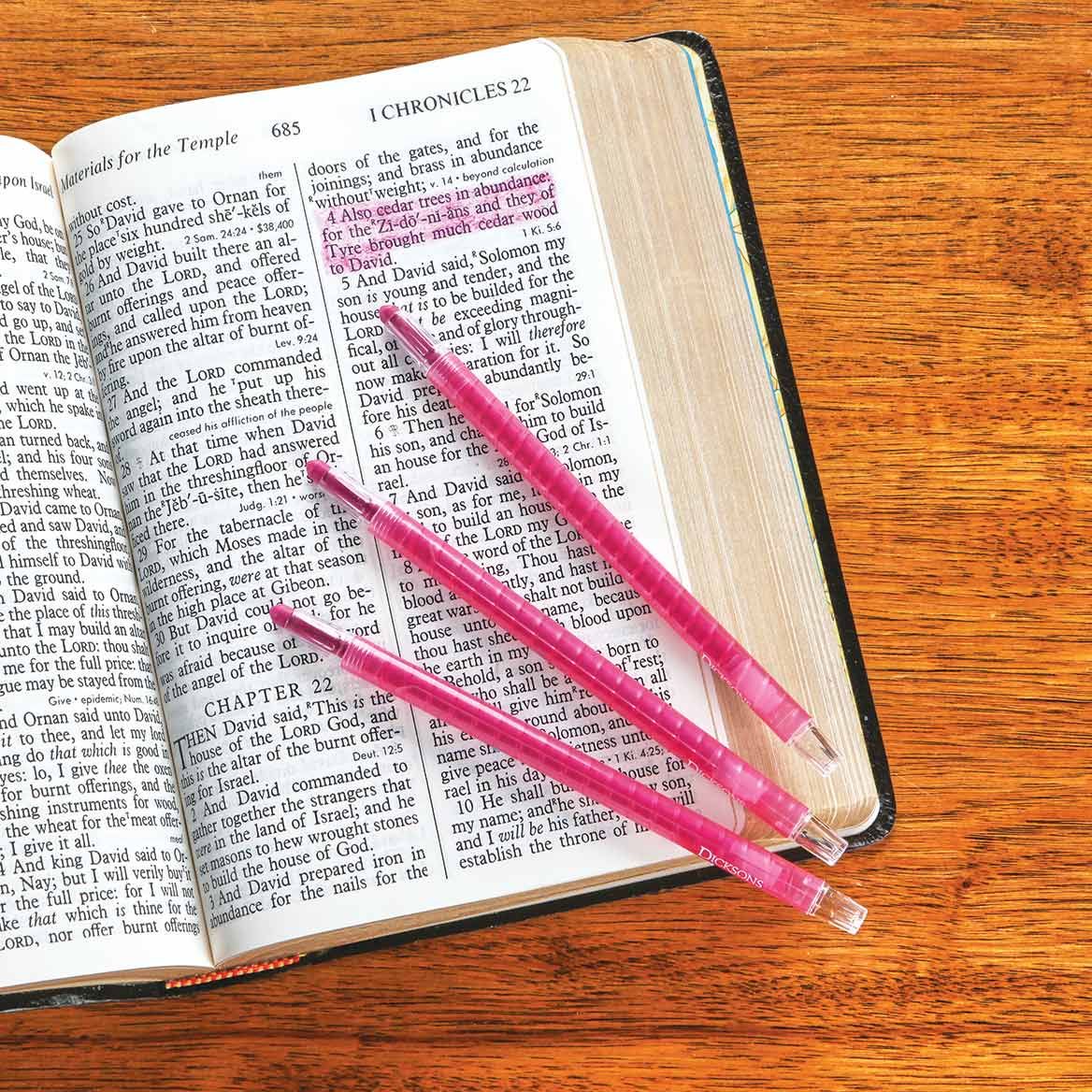 Pink Bible Dry-Liters, Set of 3 + '-' + 379249
