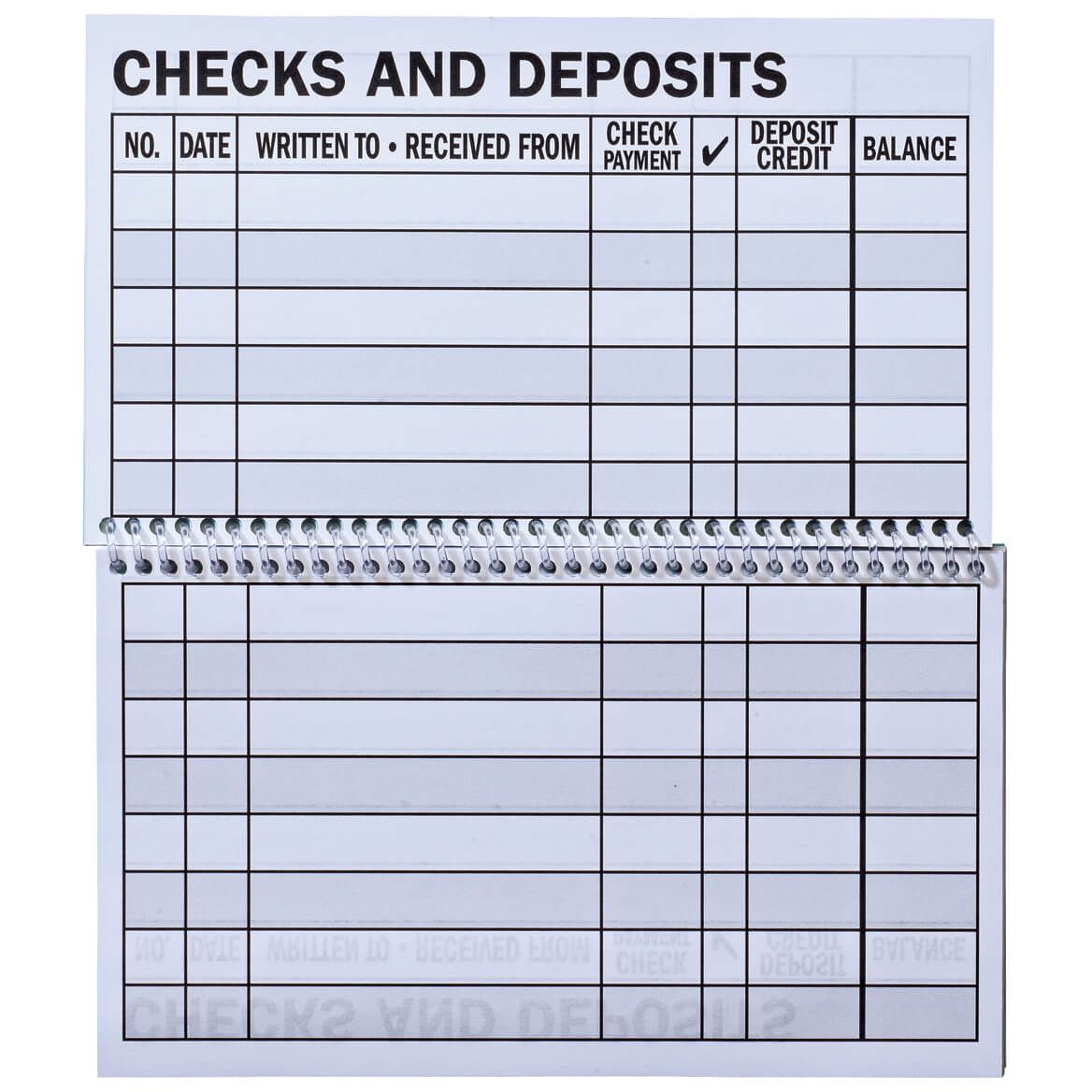 Large Print Check Register-306558