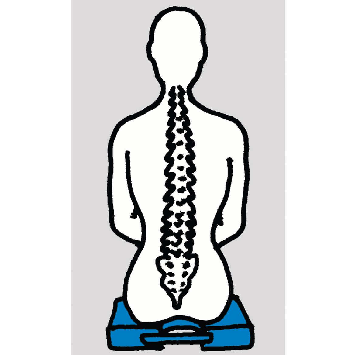 Tailbone Cushion-336396