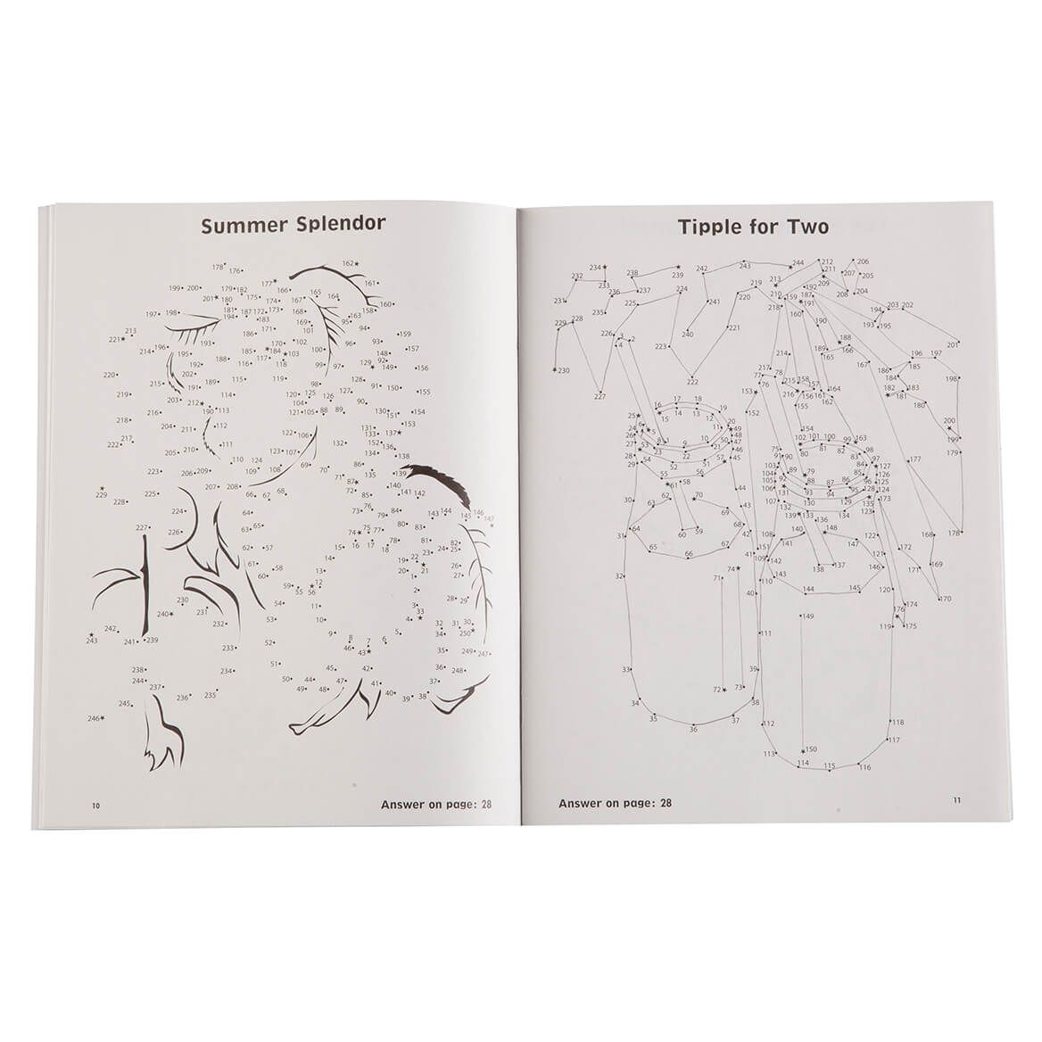 Brain Games® Large Print Dot to Dot Set/5-363816