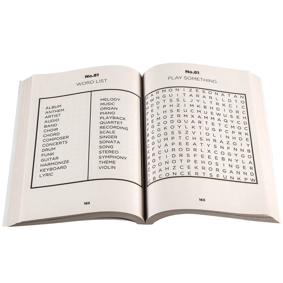 Jumbo Word Search 320-Pg. Books, Set of 2-372204