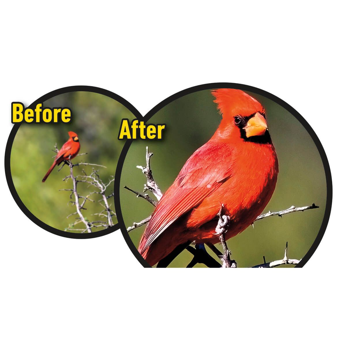 Zoom Optics™ Hands-Free Binoculars-378634